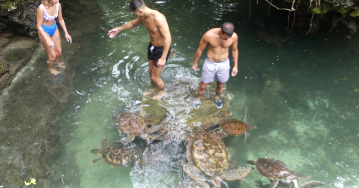 Zanzibar Kuzey Kıyısı ve Kaplumbağa Korunağı Turu